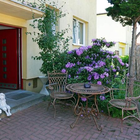 Cozy Souterrain-Half-Basement-Apartment Included 2 Bicycles ベルリン エクステリア 写真